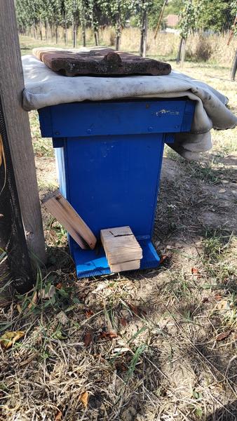 [Obrázky: IMG-20260907-115432050.jpg]