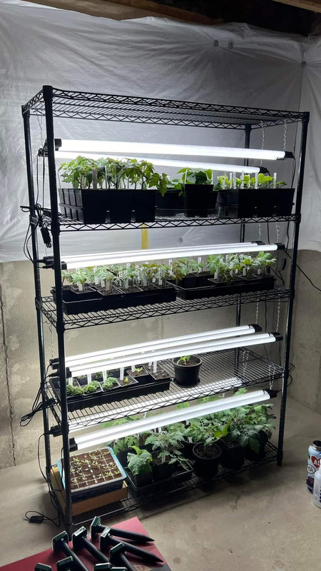 f89350c3087a945375f9cc7103ba1b71