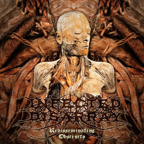 Infected DisarRay - Disseminating Obscenity (2026) Redux) (2026) MP3