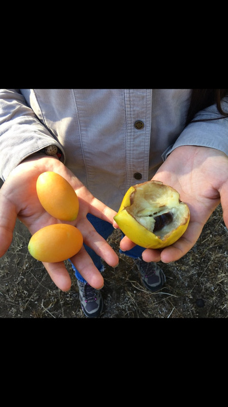 FD9EB09A-ED9B-4AB2-9F56-B71F4C327167