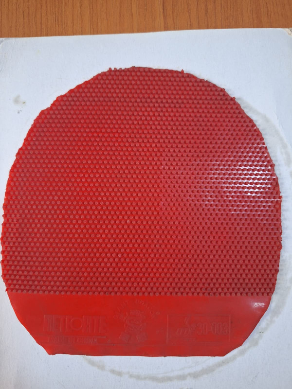 WhatsApp Image 2025-10-10 at 00.40.10 (2)