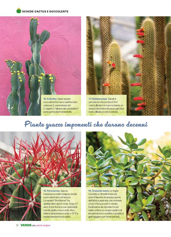 Pol Ver Spec Giu-Lug 2024 (5)