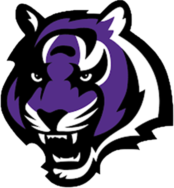 Millennium logo