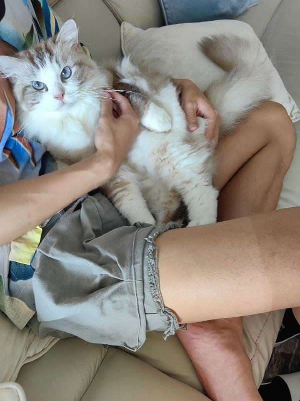 o0n93FEAfACSVVDXAbV11agEDfAtFAA31CAndI~tplv-dy-aweme-images-v2_3000_3000_q75