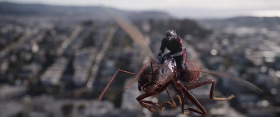 Ant-Man and the Wasp 2018 WebRip [Hindi + Tamil + Telugu + English] 480p, 720p, 1080p ESub Screenshot