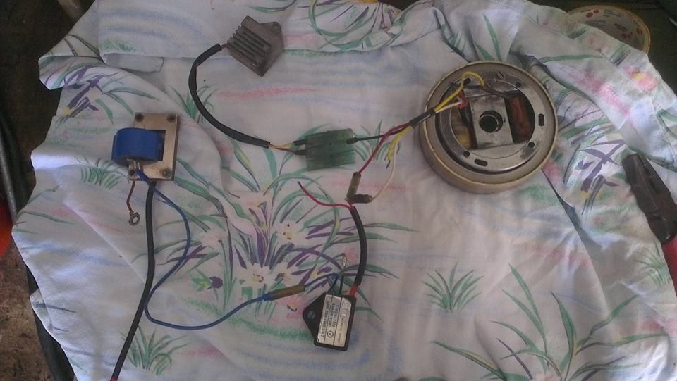 1237570_10201379991253315_1306126117_n