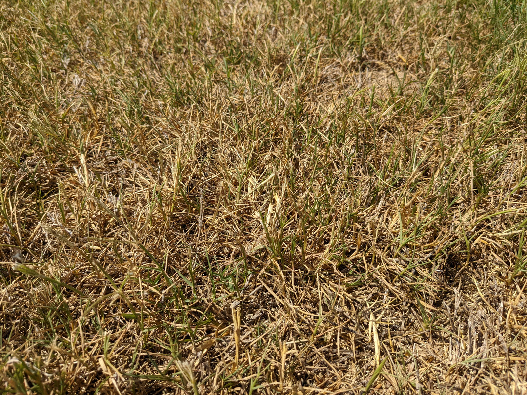 PXL_20220512_192346534