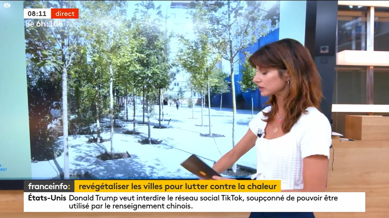 08.01 - 10.27.00 - Franceinfo  et tout est plus clair. Pas de descrip....ts_snapshot_12.10.266