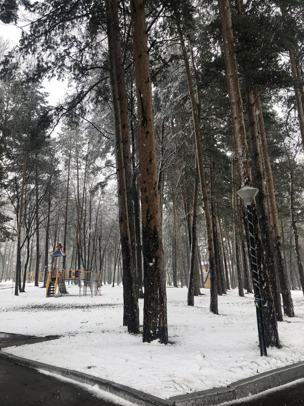 174410EB-2EC8-4FA5-B09B-A163FABCC586