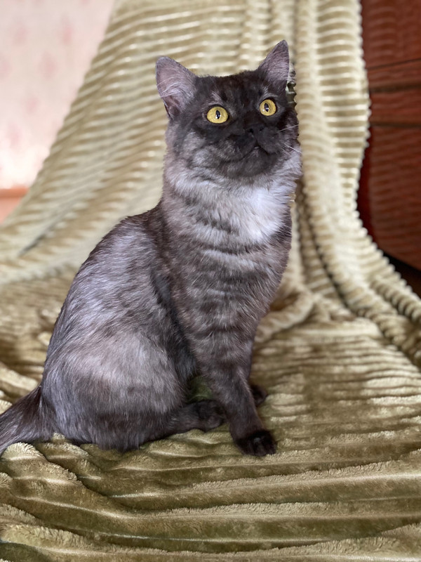 image-11-06-23-09-24