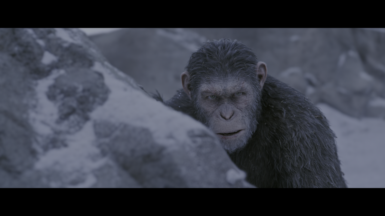 war for the planet of the apes torrent download