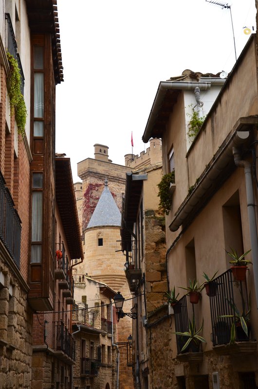 Olite-15-11-2015 - Navarra y sus pueblos-2015 (60)