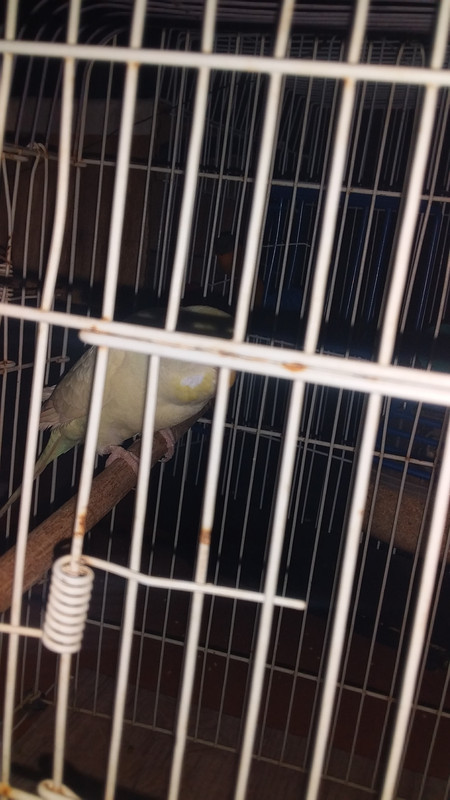 ٢٠٢١١٠١٦_١٧١٤٢٠