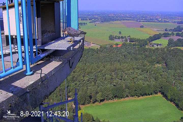 campics vanaf 1 juli © VWGGemert en bonusjes van ter plekke - Pagina 25 V4