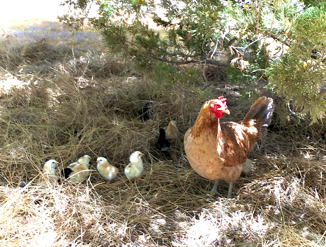 972CA50B-038E-4C15-B4BD-4450F9C93E23