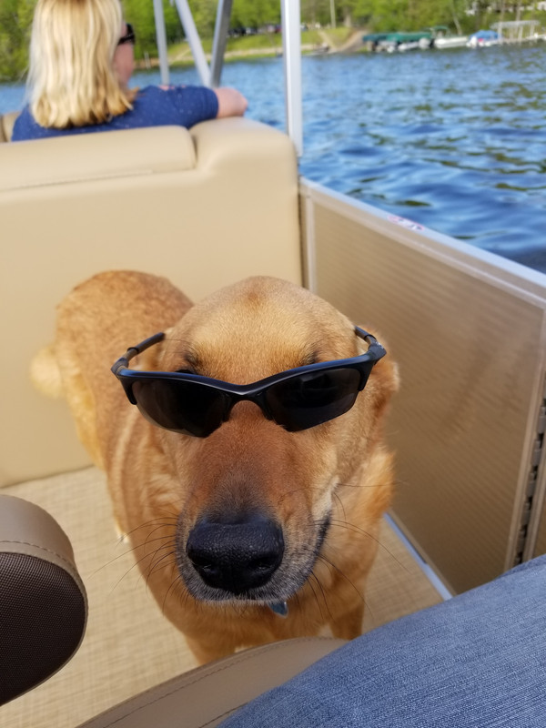 20190526-175653.jpg