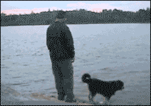 IMG-6007.gif