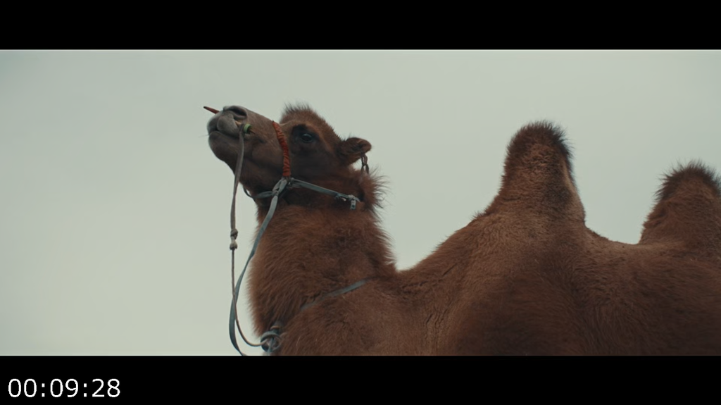 [Image: htq1nyvbs653.png]