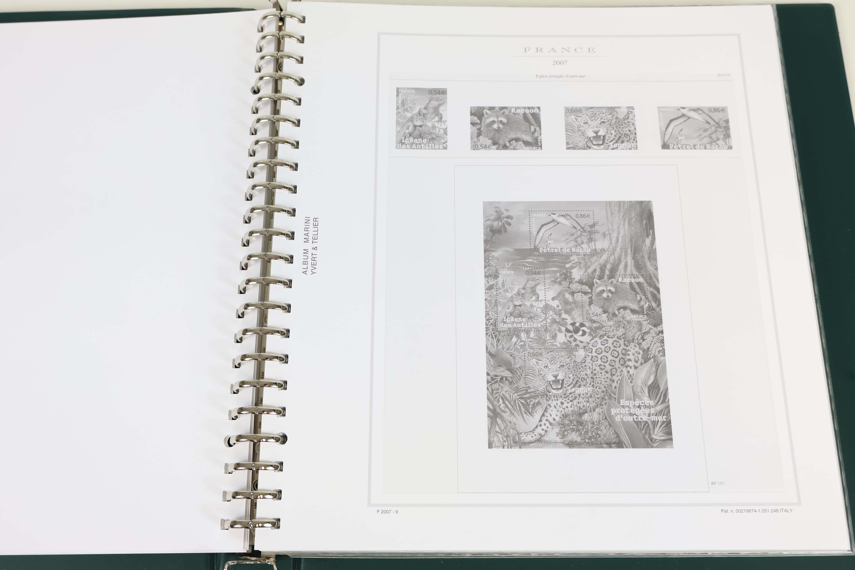 IMG-1677