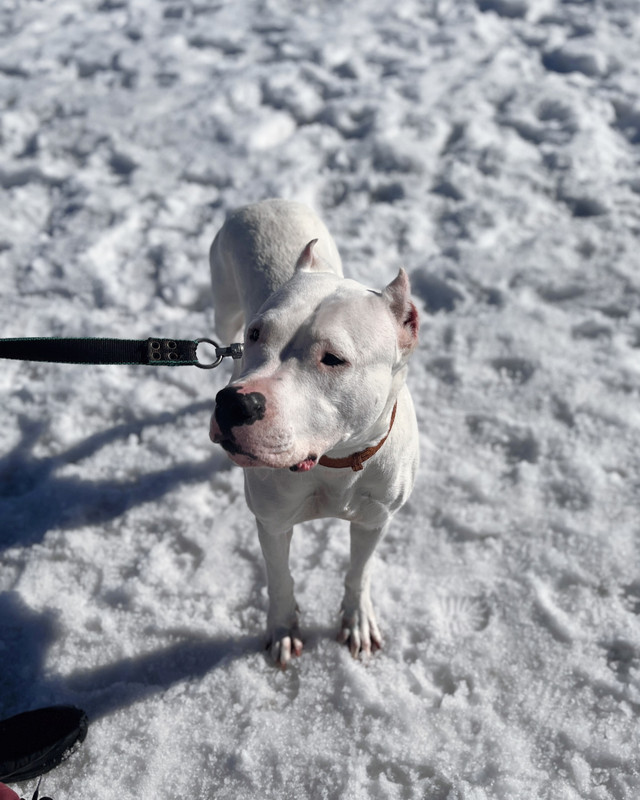 94289682-E81D-40B4-8D99-6A53B2E0F9D0