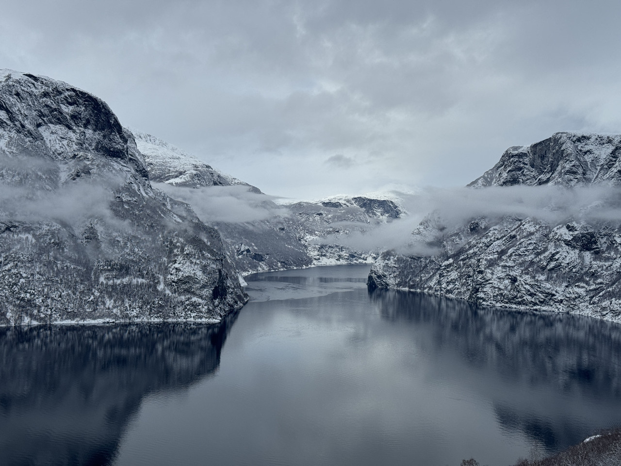 [Immagine: IMG-9650.jpg]