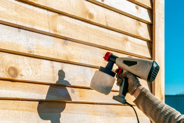 Orlando Termite Treatment