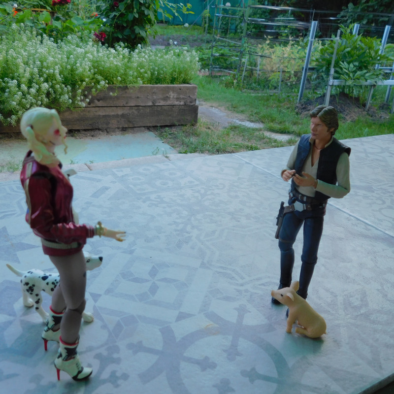 Дачно-Харлинский июнь-июль 2024 292