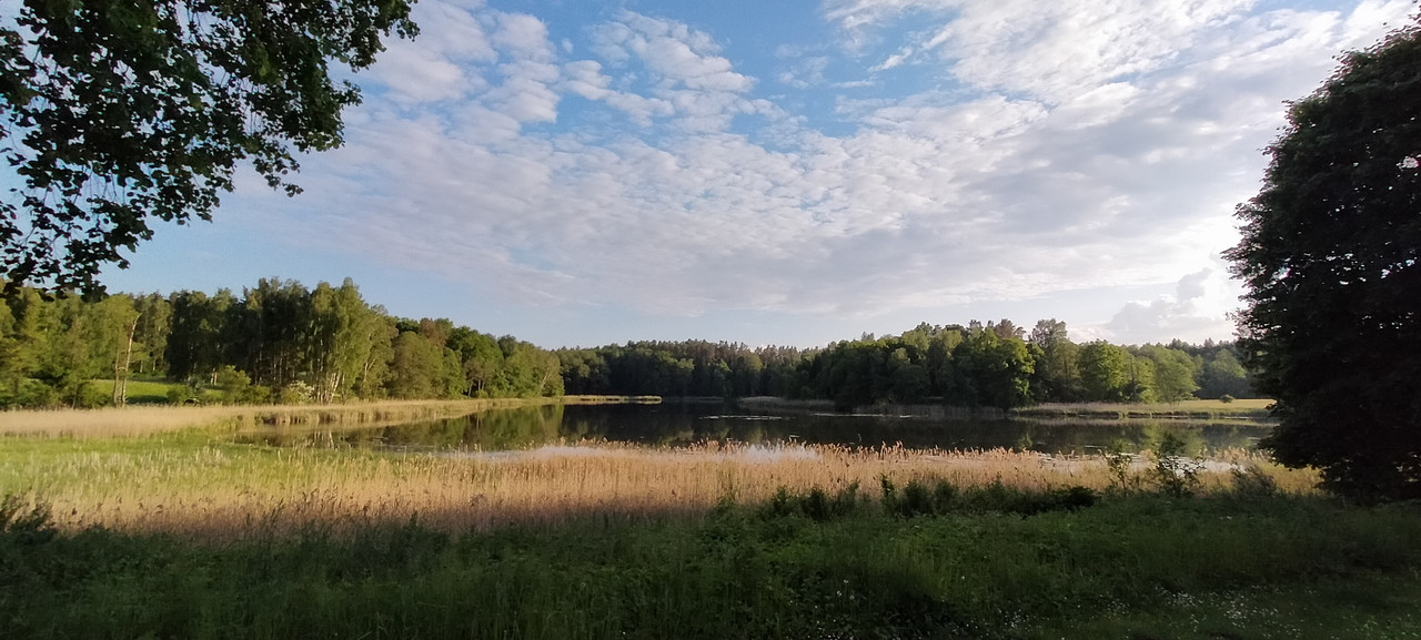 14.11 - IMG20210605191241 (VdL)