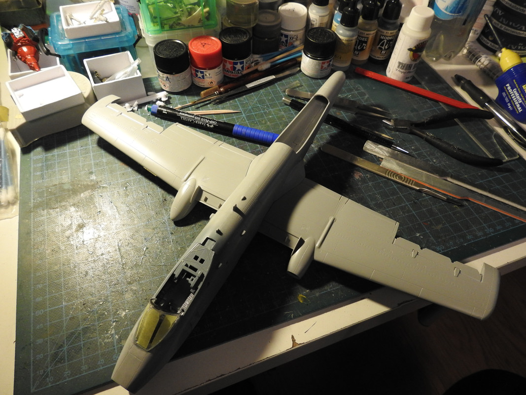 A10C Blacksnakes, Italeri 1/48 - Sida 4 DSCN9963
