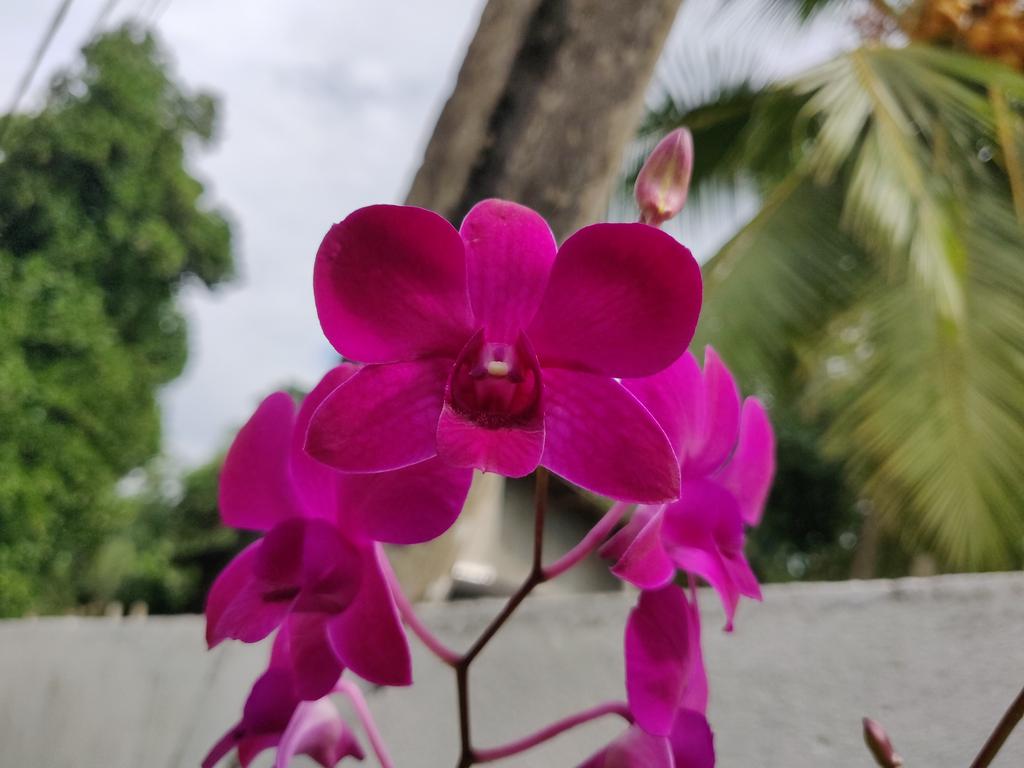 IMG-20181208-090632.jpg