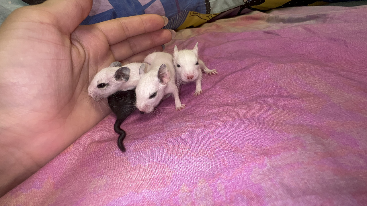 3150AEB2-50E8-4A0B-9BE9-6895FDB3C7C2