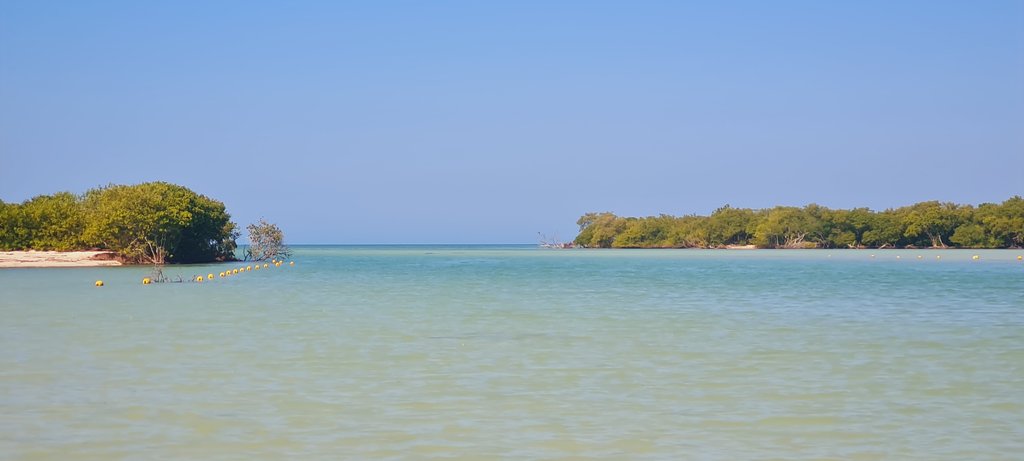 De cuando Riviera Maya me robó el corazón - Blogs de Mexico - Holbox: Yalahau-Isla Pasión-Punta Mosquito y Punta Coco (8)