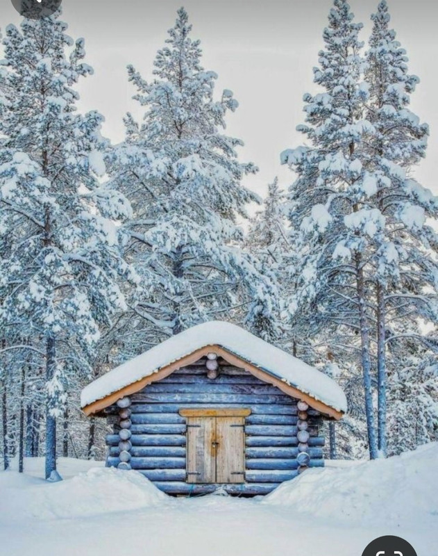 Screenshot_20240130_194719_Pinterest