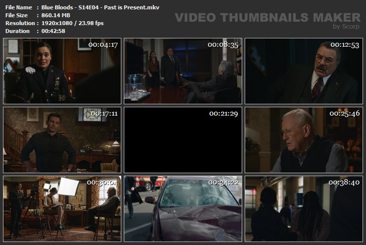 Blue Bloods - S14E04 - Past is Present.mkv