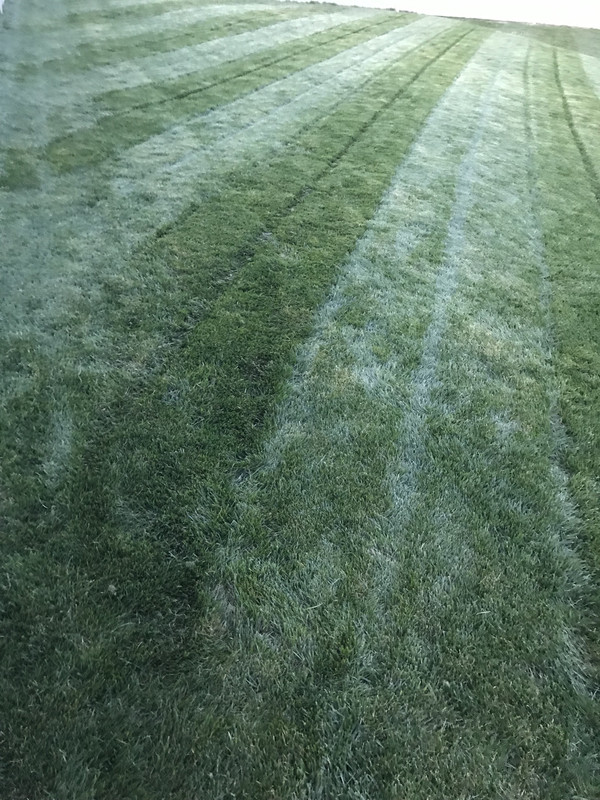 C6B2DF65-7C1C-4B6F-82C2-E244BAA81352