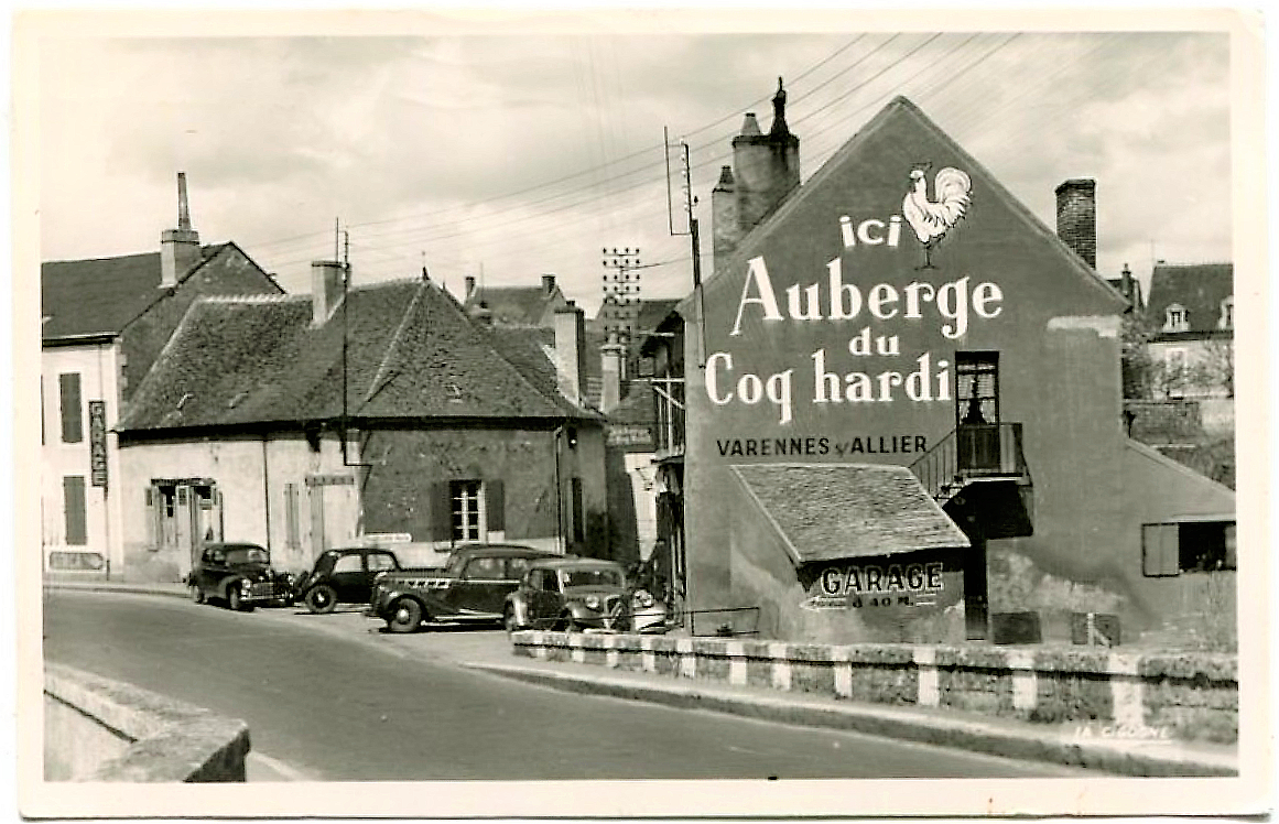 Coq hardi vu du sud