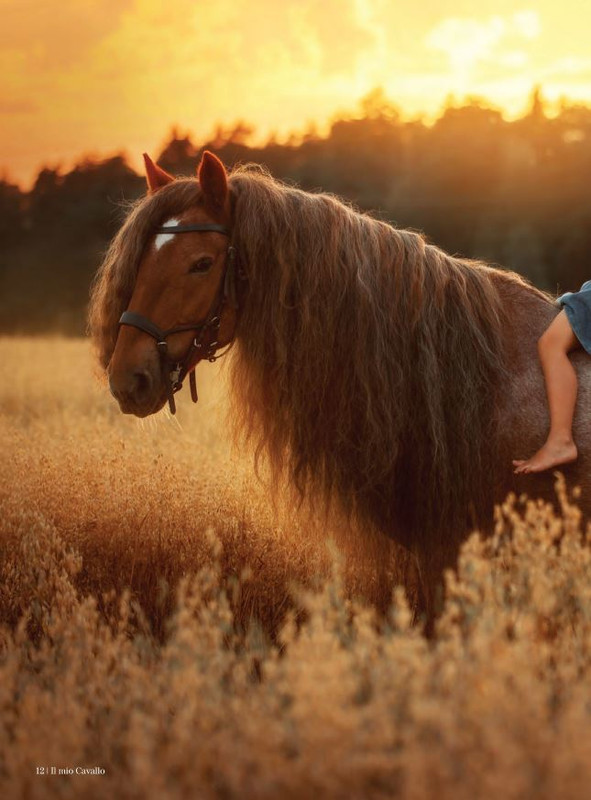 Il Mio Cav (Set 2021) 1