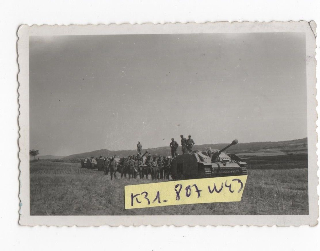 Sturmgeschütz Kolonne im Raum von NEAPEL Italien