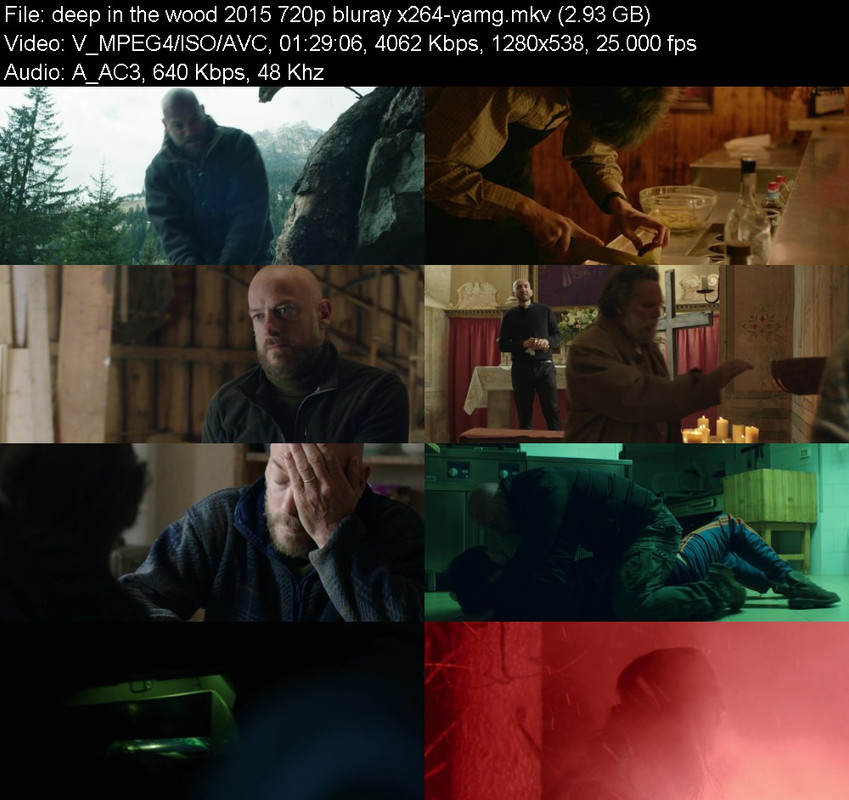 deep-in-the-wood-2015-720p-bluray-x264-y
