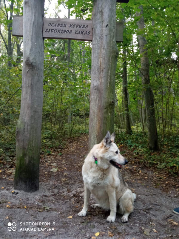 FBEE7616-93D5-4BBE-8AFA-77583D9557DD