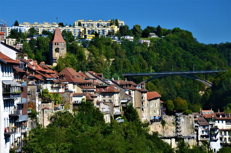 FRIBURGO-4-9-2019 - Suiza y sus pueblos-2019 (21)