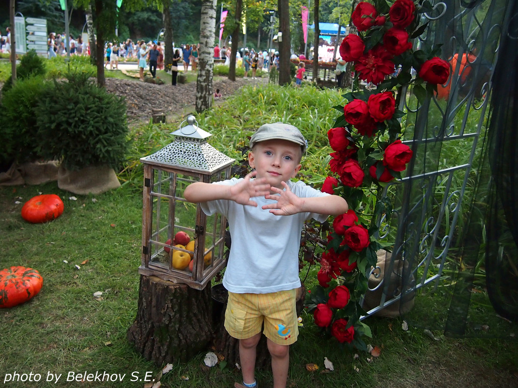 Воронеж, осень, фестиваль