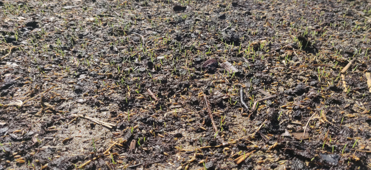 IMG_20200822_170143~2