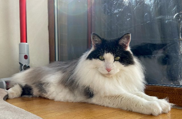 4-A9966-C7-8-A95-473-F-A141-BA118252008-