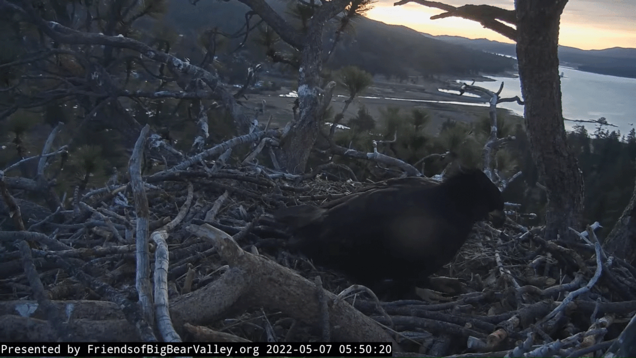 Webp.net-gifmaker (17)