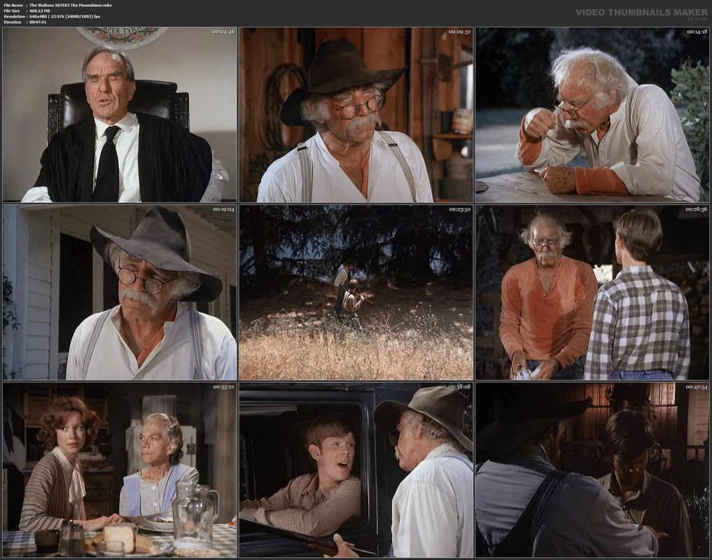 The Waltons S07E03 The Moonshiner.mkv