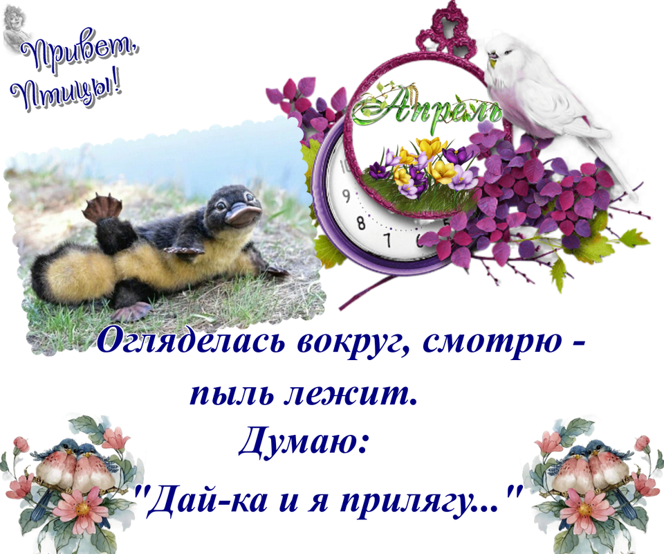 https://i.postimg.cc/J7SrVVpn/25-04.png