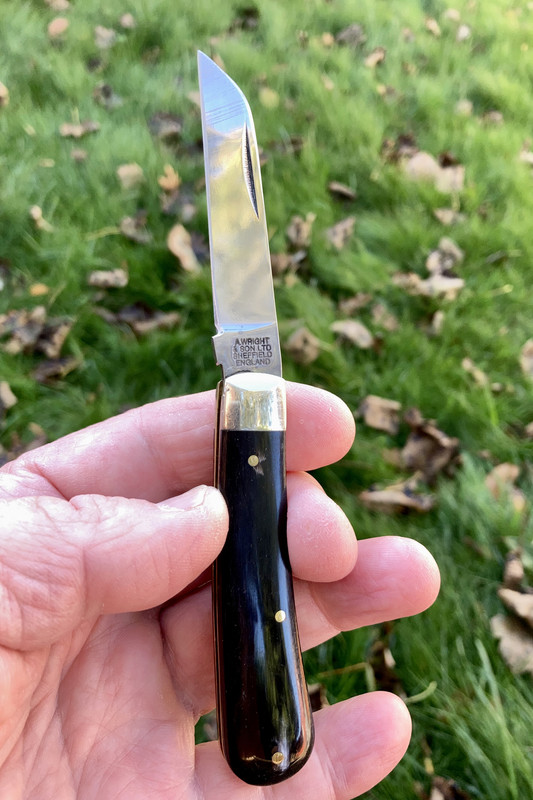 54F44266-211B-48D8-931D-A903B320CBFF