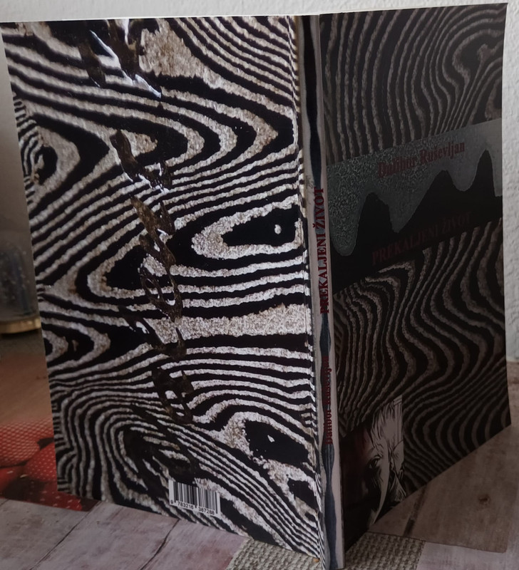 dalibor ruševljan 2