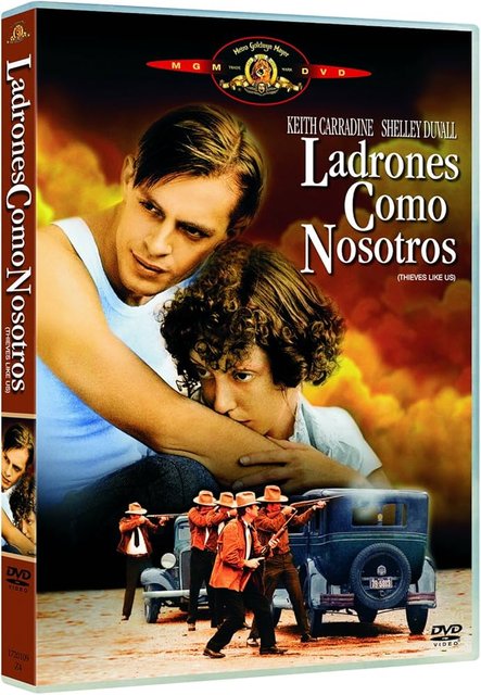 Złodzieje jak my / Thieves Like Us (1974) PL.1080p.BDRip.H264-wasik / Lektor PL